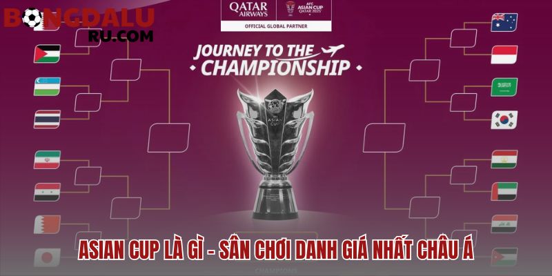 AFC Asian Cup giải đấu uy tín nhất cấp đội tuyển châu Á